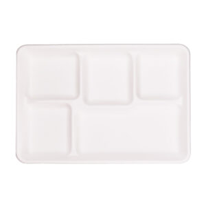 EcoFlavour 5 Compartment Bagasse Plate White (Pack of 125)